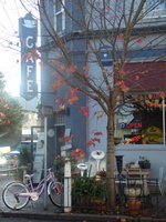 2008 11-Store Centralia Washington